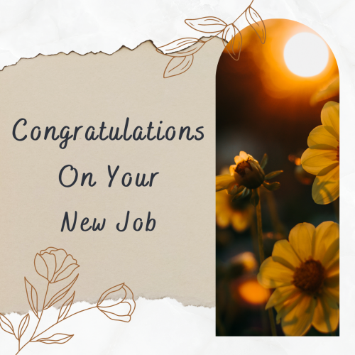 Best Image card For Wishing Freinds, Congratulations On Your New Job