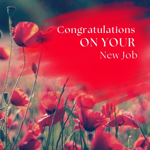 Congratulations On Your New Job, Image Card With Red Flowers