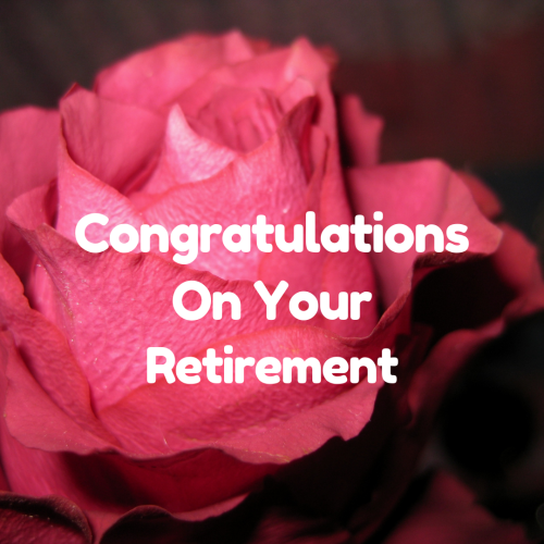 Congratulations On Your Retirement, Wishing Card With Red Rose