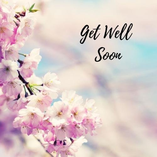 Get-Well-Soon-Purple Flowers
