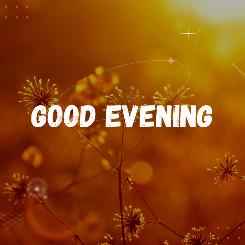 Orange background and flower on wish card Good Evening