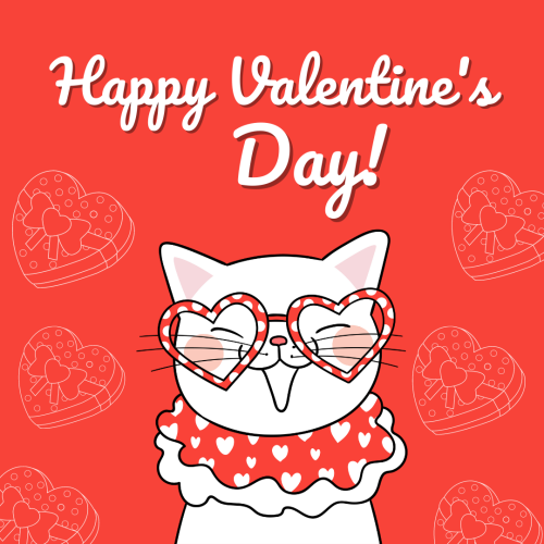 Happy Valentine's Day, a cat wearing glasses.