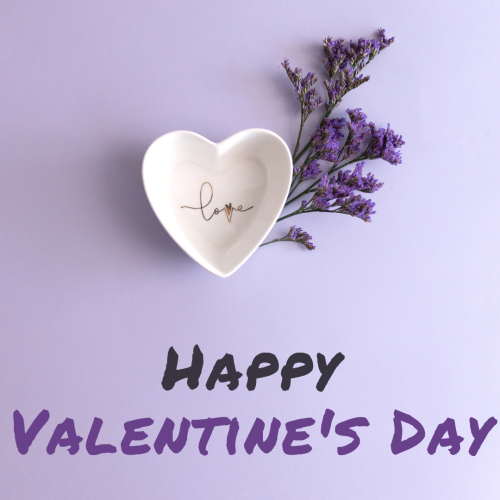 Happy valentine's day, purple flower on a purple background.