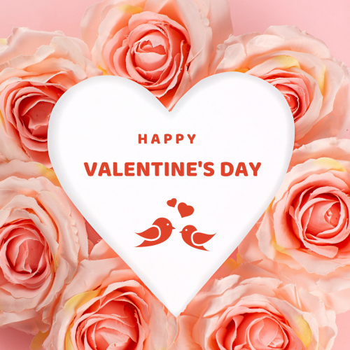 Lots of pink flowers on pinkish background, Happy valentine's day.