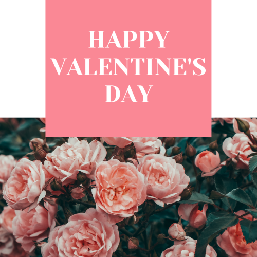 Happy Valentine's Day, Pink flower in the center.