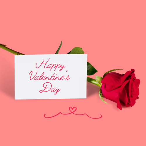 Happy Valentine's Day, rose on pink background.