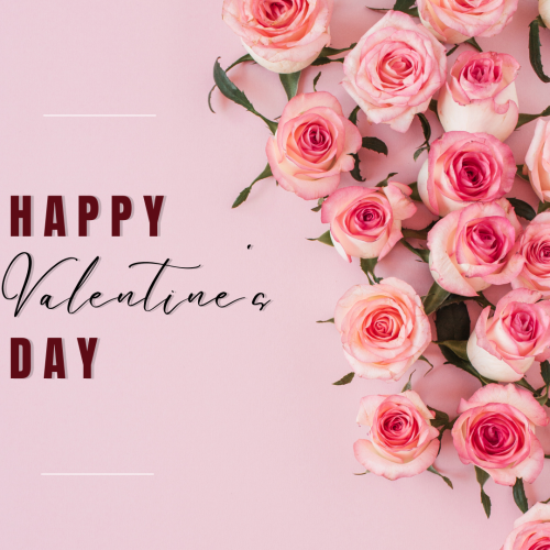 Pink flowers on pink background, Happy valentine's day.