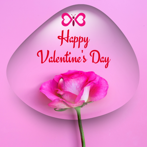 Pink flower and butterfly, Happy valentines Day.