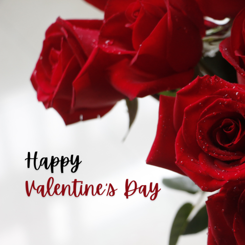 Happy-Valentines-Day-Image Card With Red Rose
