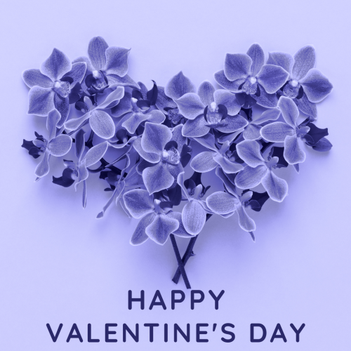 Happy valentines day, a letter and flowers on bottom.