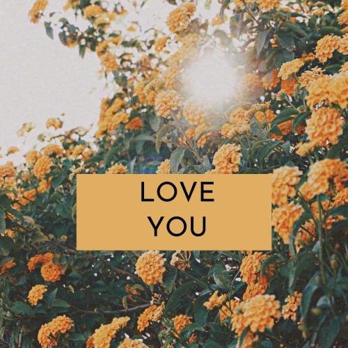 Love you with lots of sunflowers in the background.