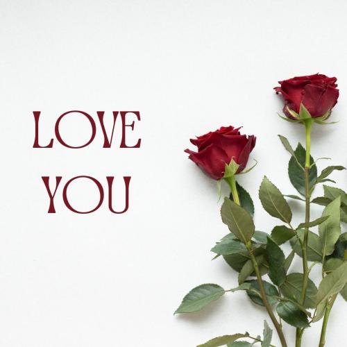 Red Roses on wish card to celebrate I Love you