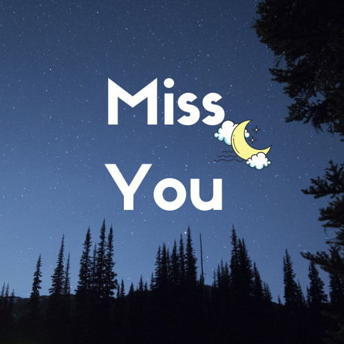 Night view of stars sky, Miss You.