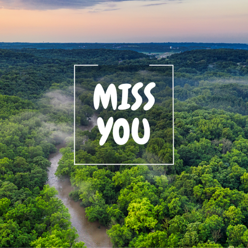 Miss you, a beautiful green view.