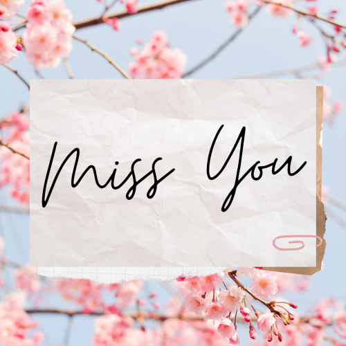 Pink flowers on a tree, Miss You.