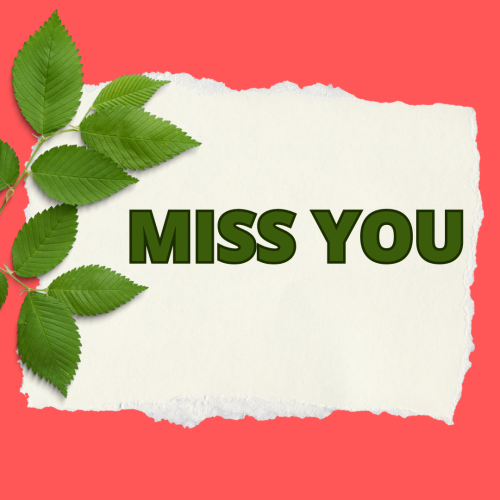 Green leaves and white paper, Miss You.