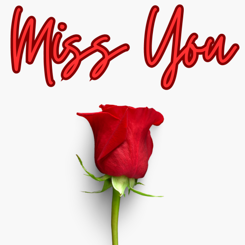 Red rose, Miss You.