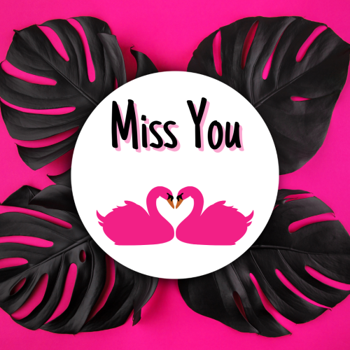 Two ducks four black leaves and pink background ,Miss you