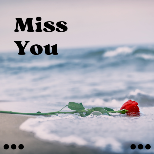 Miss You, rose in the sea.