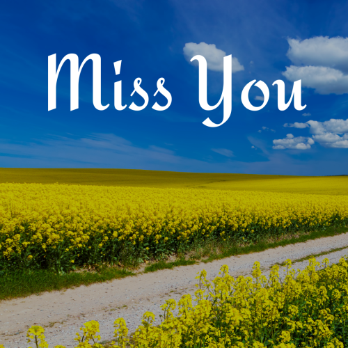 Miss you, a beautiful field view.