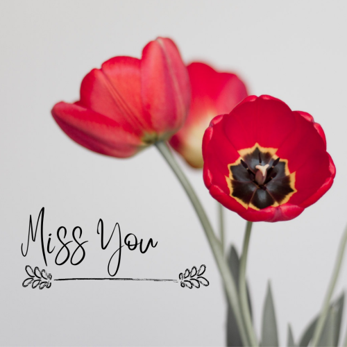 Red flowers on a design, Miss You.