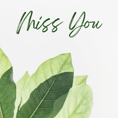 Leaves on a design, Miss You.