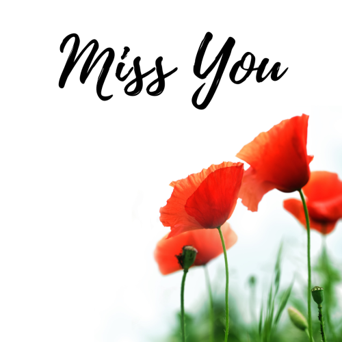Lots of red flowers, Miss You.