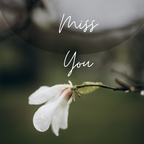 Miss you, a flower on a green background.