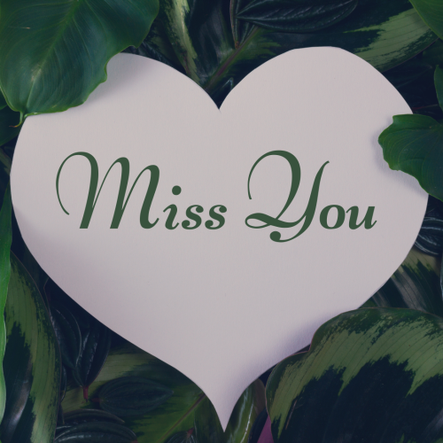 Miss You, leaves background.