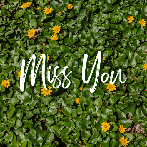 Lots of leave on a background, Miss You.