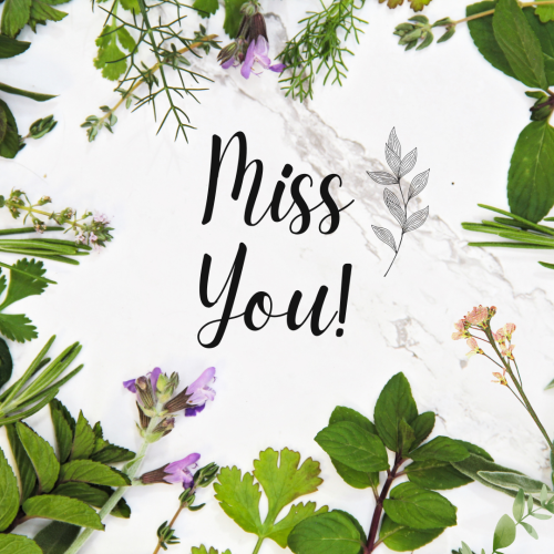 Miss You, lots of green leaves on a white background.