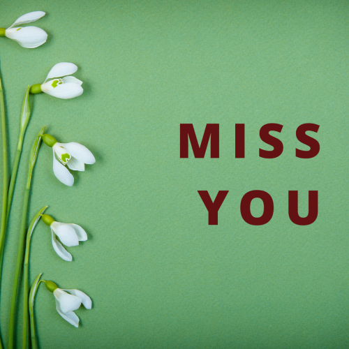 Miss you, leaves on green background.