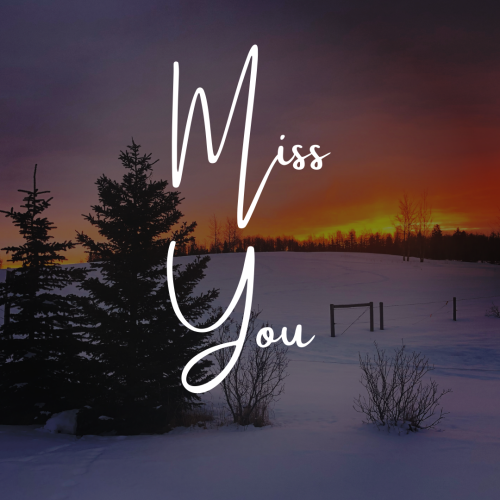 Miss you, a beautiful snow view of evening.