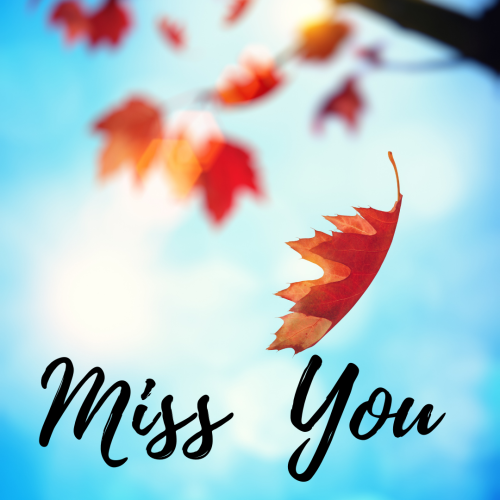 Red leaves on a blue background, Miss you.