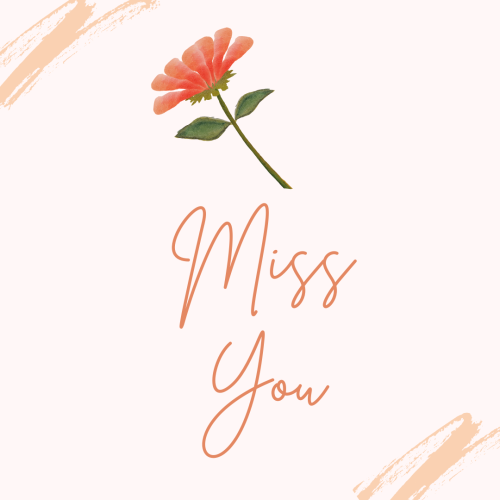 A rose on a white background, Miss You.