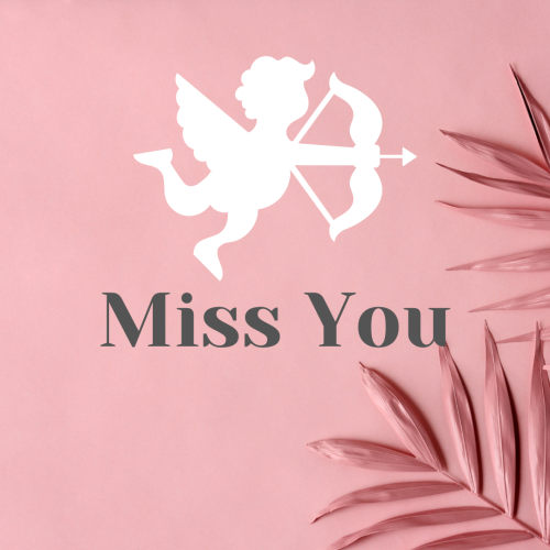 Miss You, angel carry arrow.