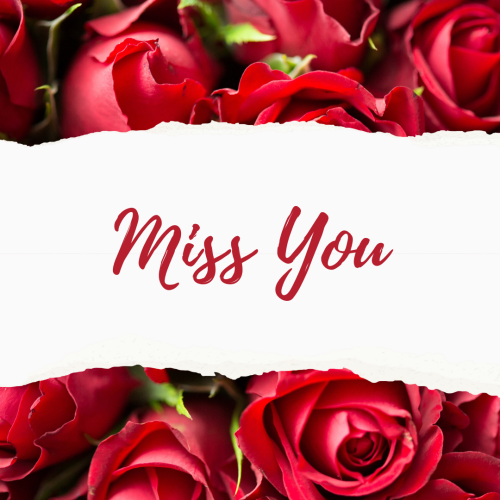 Miss you with rose flowers background