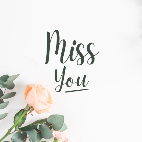Miss You, a flower on white background.