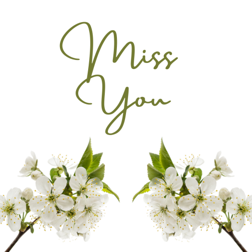 Miss You, white flowers on white background.