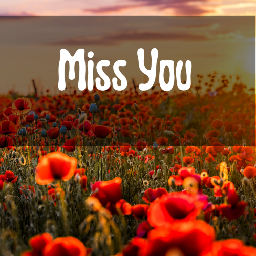 Miss You, a beautiful garden.