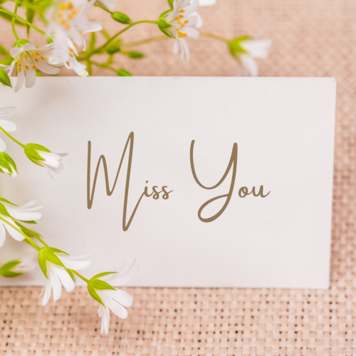 White flowers with pink background, Miss You.