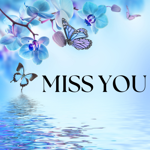 Beautiful sea view and butterflies, Miss You.